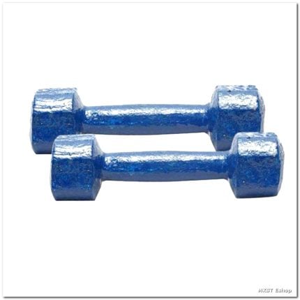 Durable Blue Dumbbell Weights – Perfect for Home Gym & Strength Training-2KG