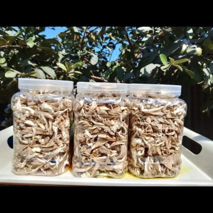 oyster mushroom 500gm dry Bangladesh B grade organic farm fresh