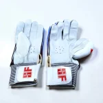 Cricket Batting Gloves